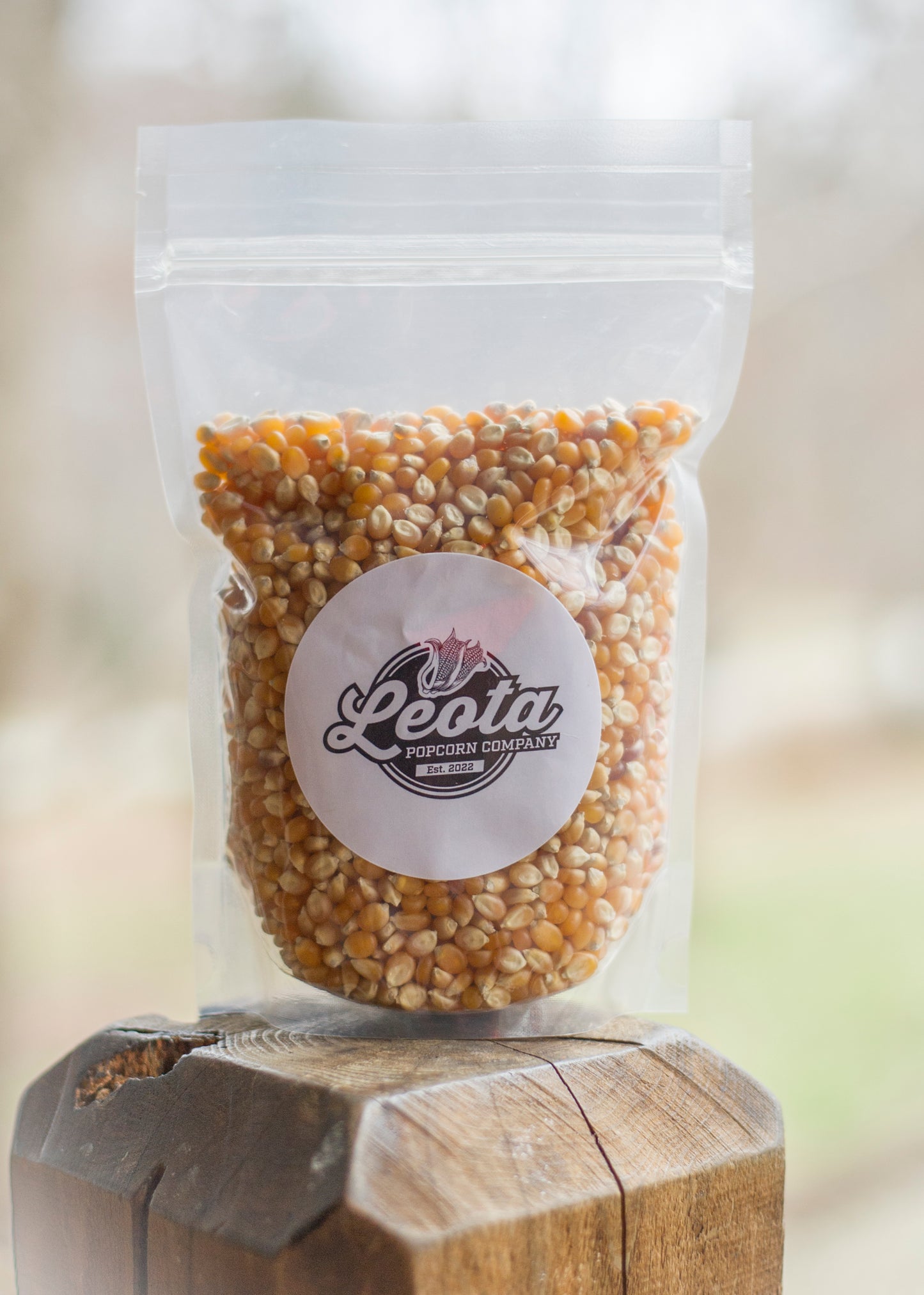 Yellow Butterfly Popcorn