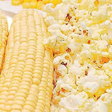 Popcorn